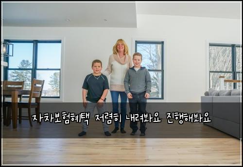 자차보험혜택 저렴히 내려봐요 진행해봐요