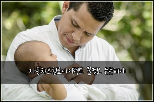 자동차보험료다이렉트 꿀정보 든든해야