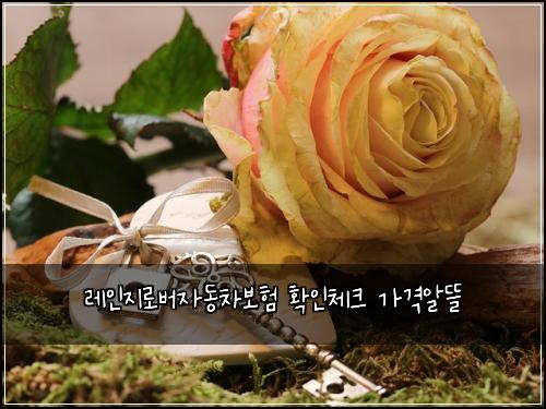 레인지로버자동차보험 확인체크  가격알뜰