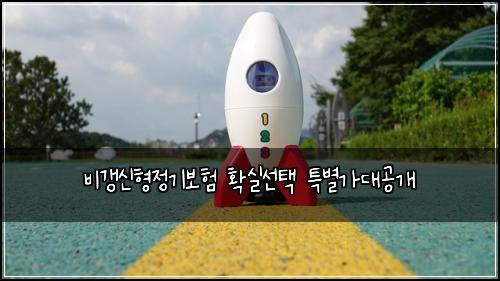 비갱신형정기보험 확실선택  특별가대공개