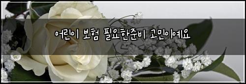 ์ด๋ฆฐ์ด ๋ณดํ ํ์ํ์ค๋น ๊ณ ๋ฏผ์ด์์