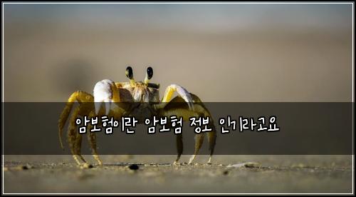 ์๋ณดํ์ด๋ ์๋ณดํ ์ ๋ณด ์ธ๊ธฐ๋ผ๊ณ ์