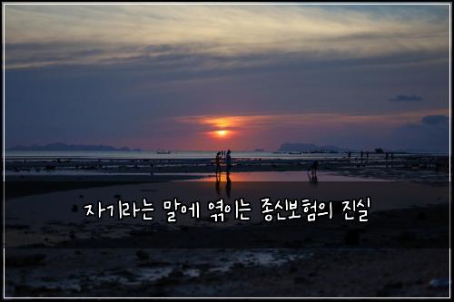 자기라는 말에 엮이는 종신보험의 진실