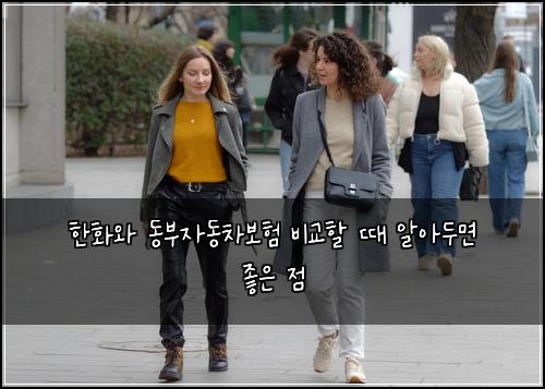 한화와 동부자동차보험 비교할 때 알아두면 좋은 점