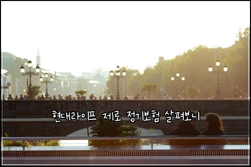 현대라이프 제로 정기보험 살펴보니