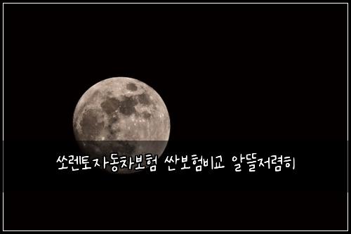 쏘렌토자동차보험 싼보험비교  알뜰저렴히