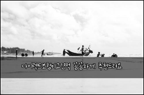 다이렉트보험비교견적 꼼꼼하게 추천드려요