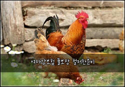 여자암보험 풀보장  철저한준비