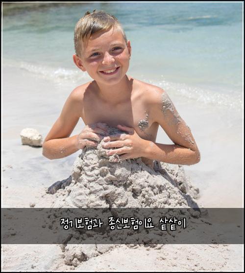 정기보험과 종신보험이요 샅샅이