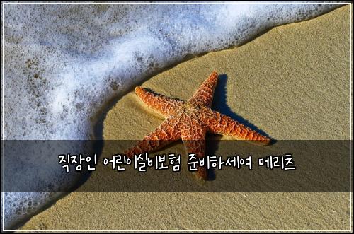 ์ง์ฅ์ธ ์ด๋ฆฐ์ด์ค๋น๋ณดํ ์ค๋นํ์ธ์ฌ ๋ฉ๋ฆฌ์ธ