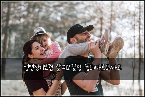 생명정기보험 살피고결정  쉽고빠르고싸고
