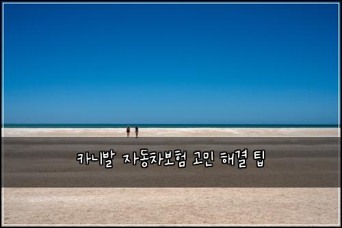카니발 자동차보험 고민 해결 팁