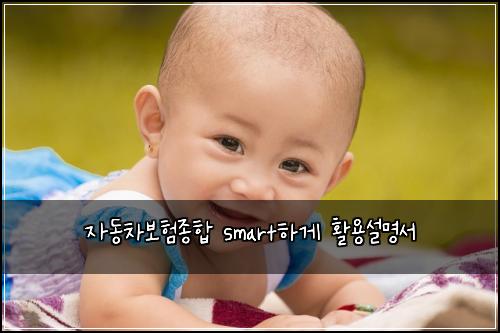 자동차보험종합 smart하게 활용설명서