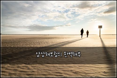 암상해보험의 완벽해부