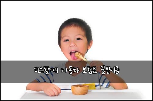 리스할때 자동차 보험료 꿀팁이욤