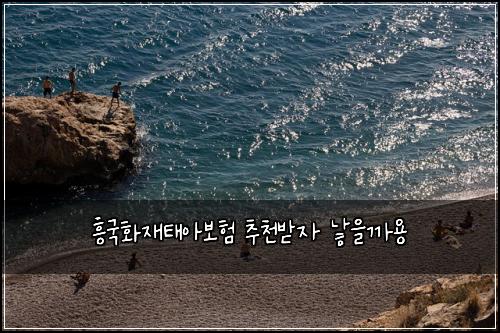 ํฅ๊ตญํ์ฌํ์๋ณดํ ์ถ์ฒ๋ฐ์ ๋ณ์๊น์ฉ