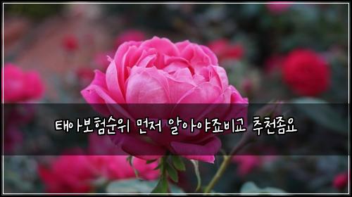 태아보험순위 먼저 알아야죠비교 추천좀요