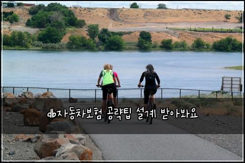 db자동차보험 공략팁  설계 받아봐요
