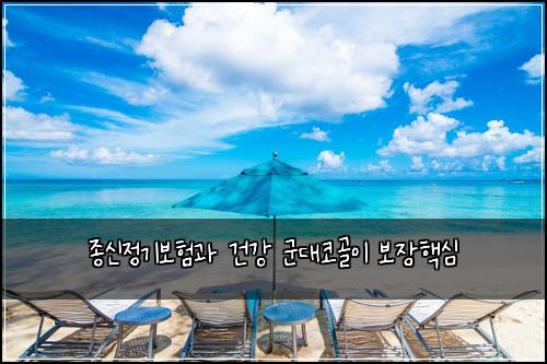 종신정기보험과 건강 군대코골이 보장핵심