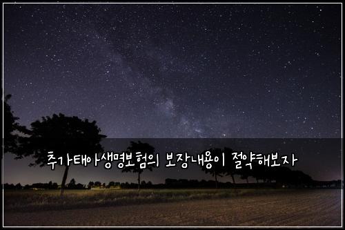 μΆκ°νμμλͺ
보νμ 보μ₯λ΄μ©μ΄ μ μ½ν΄λ³΄μ