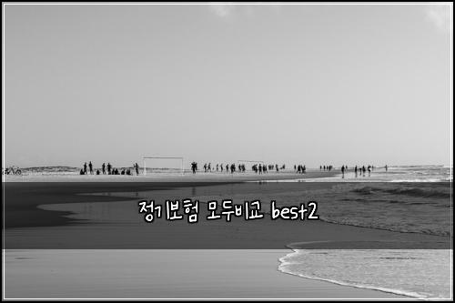 정기보험 모두비교  best2