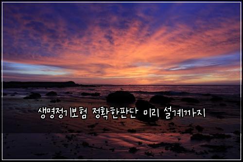 생명정기보험 정확한판단  미리 설계까지