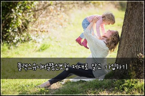 플렉스유니버셜종신보험 제대로 알고 가입하기
