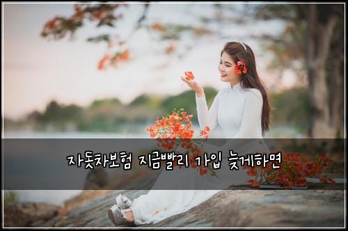 자돗차보험 지금빨리  가입 늦게하면