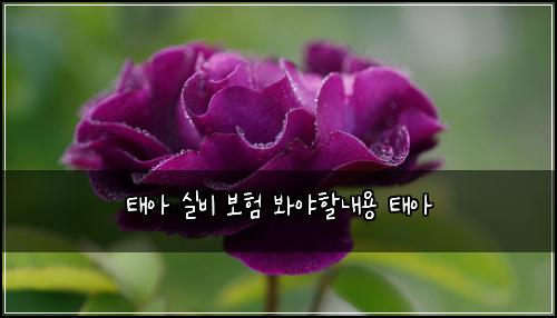 ํ์ ์ค๋น ๋ณดํ ๋ด์ผํ ๋ด์ฉ ํ์