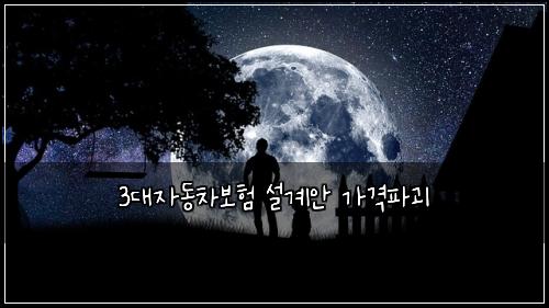 3๋์๋์ฐจ๋ณดํ ์ค๊ณ์ ๊ฐ๊ฒฉํ๊ดด