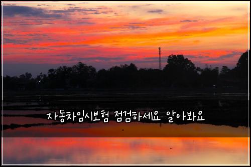 자동차임시보험 점검하세요  알아봐요