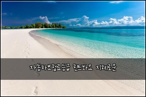자동차보험료등급 힌트봐요 지혜로운