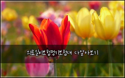 의료실비보험정기보험대 다알아보기