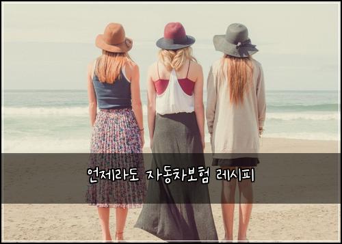 언제라도 자동차보험 레시피 