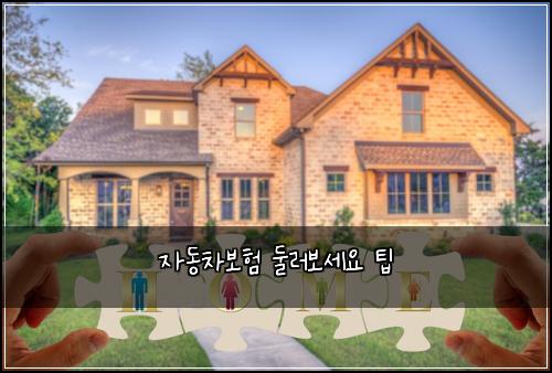 자동차보험 둘러보세요  팁