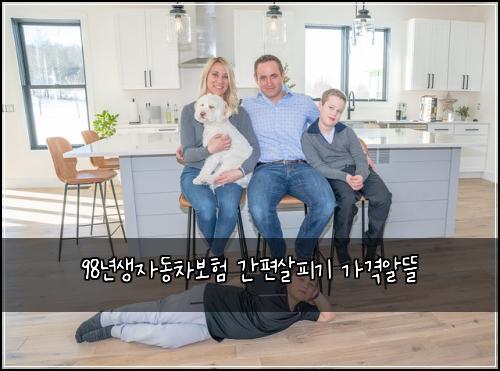 98λ
μμλ차보ν κ°νΈμ΄νΌκΈ° κ°κ²©μλ°