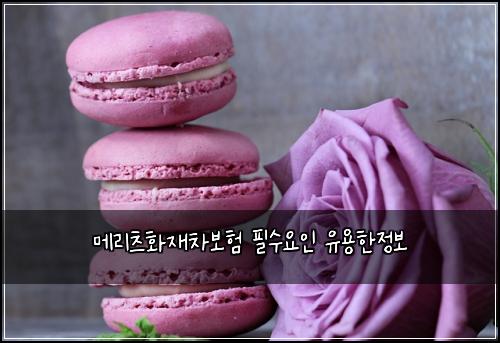 메리츠화재차보험 필수요인  유용한정보