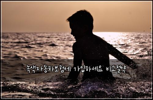 녹색자동차보험에 가입하세요 비교절약