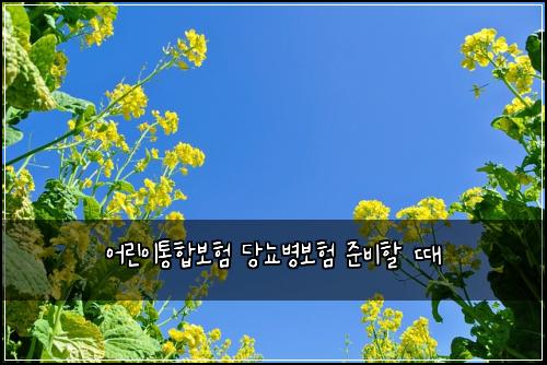 어린이통합보험 당뇨병보험 준비할 때