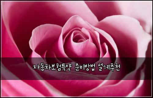 ์๋์ฐจ๋ณดํํน์ฝ ์ค๋น๋ฐฉ๋ฒ ์ค๊ณ์ถ์ฒ