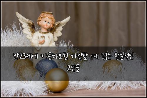 만23세에 자동차보험 가입할 때 겪는 현실적인 고민들