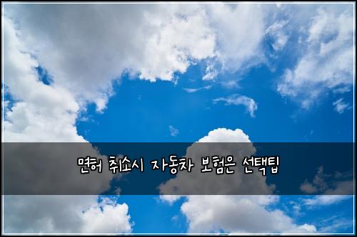면허 취소시 자동차 보험은 선택팁