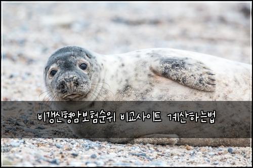 비갱신형암보험순위 비교사이트 계산하는법