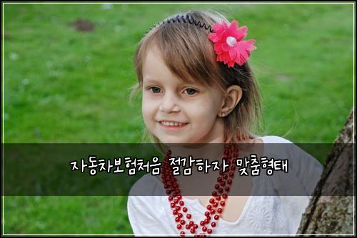 ์๋์ฐจ๋ณดํ์ฒ์ ์ ๊ฐํ์ ๋ง์ถคํํ