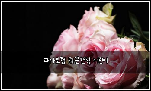 태아보험 화끈견적  어린이 