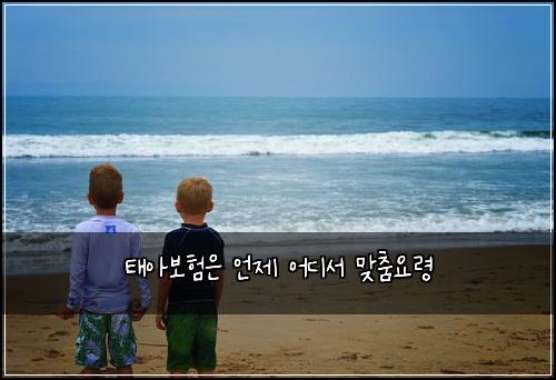 ํ์๋ณดํ์ ์ธ์ ์ด๋์ ๋ง์ถค์๋ น