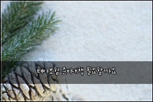태아보험 준비대책  필요할까요