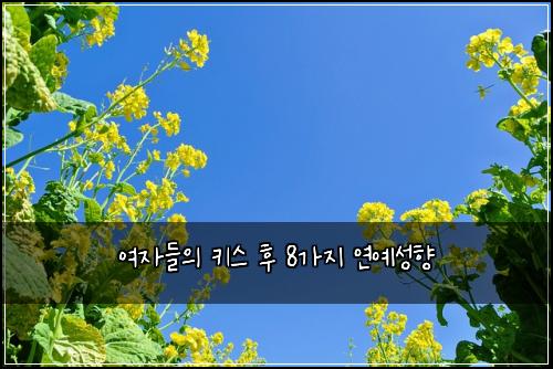 여자들의 키스 후 8가지 연예성향