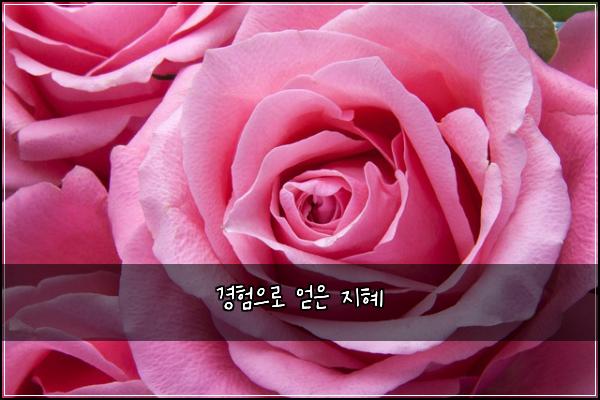 경험으로 얻은 지혜