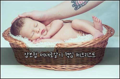 암보험 제대로알기 핵심 체크리스트